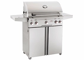 American Outdoor Grill 24PCT Cooking Surface 432 Sq. Inches Portable Grill Liquid Propane Barbeque Grills,propane gas grill