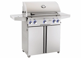 American Outdoor Grill 30NCL Cooking Surface 540 Sq. Inches Portable Grill - Natural Gas Natural Gas Barbeque Grills,natural gas outdoor grill