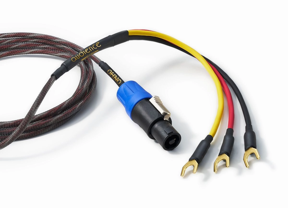 Audience OHNO REL Subwoofer Cable Kitchen Appliances