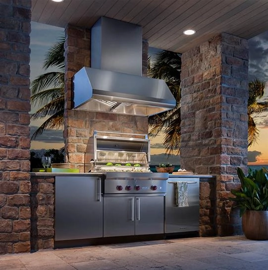 Best Range Hoods WPD39M42SB 42" Ss Pro-Style Range Hood With Extra Large Capture Designed For Outdoor Cooking In Covered Lanais, 1300 To 1650 Max Cfm
