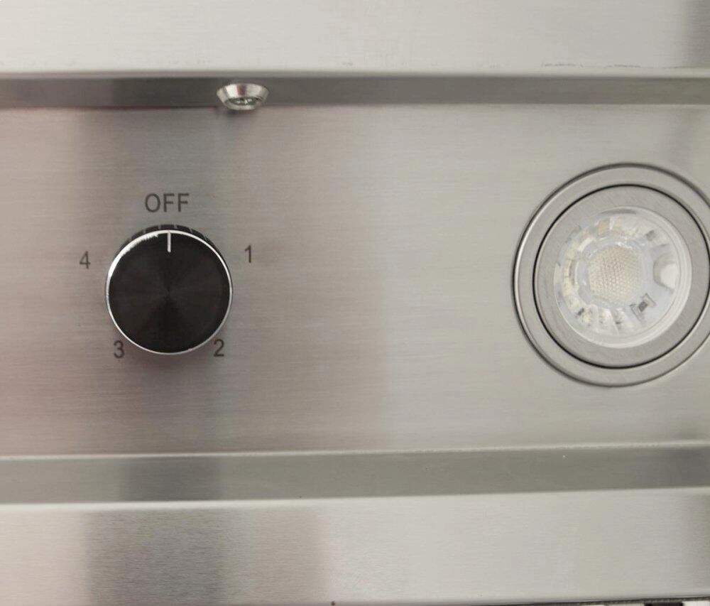 Blaze Grills BLZ42VHOOD Blaze 42" Vent Hood