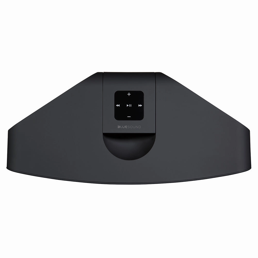 Bluesound Pulse 2i Wireless Multi-Room Music Streaming Speaker
