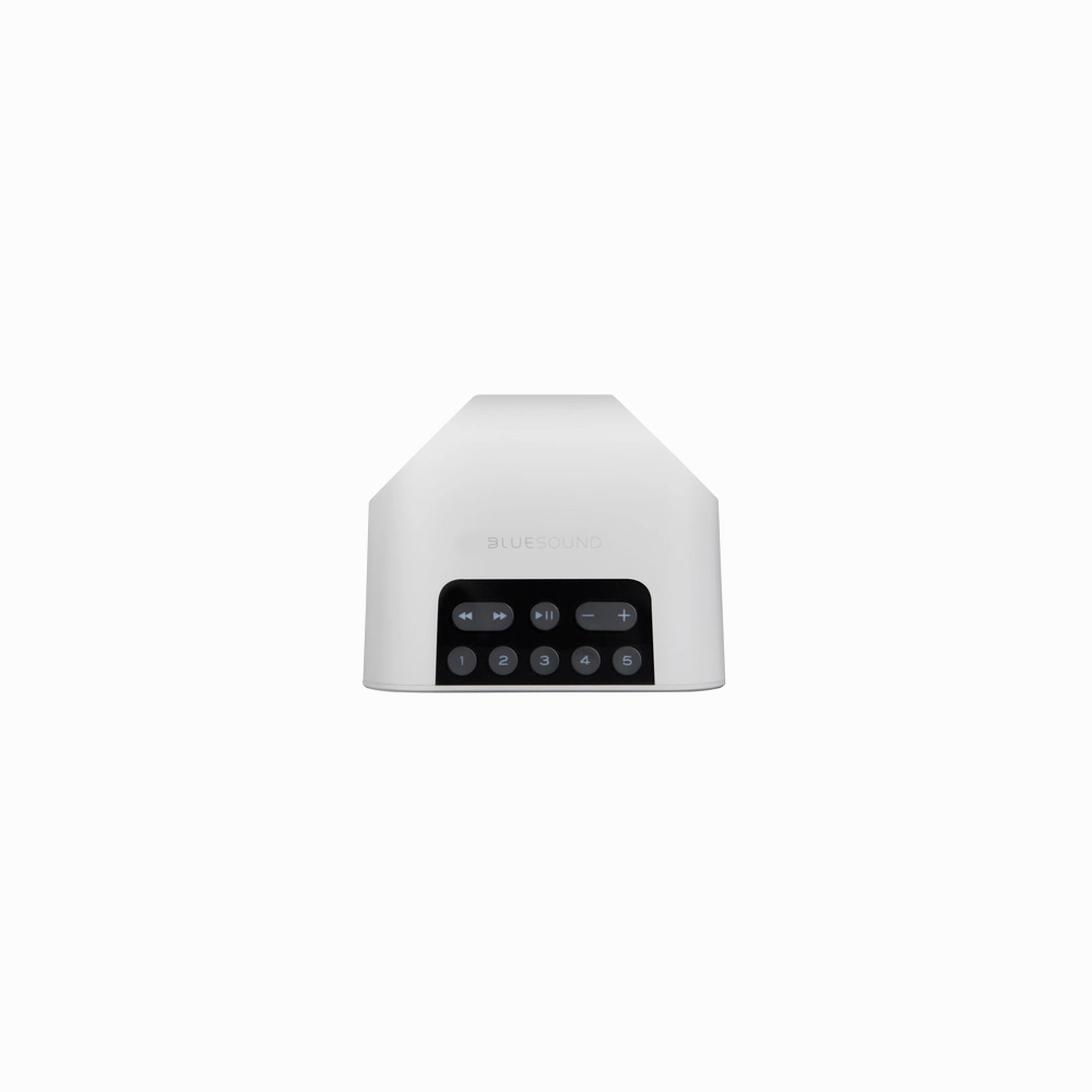 Bluesound PULSE FLEX 2i Portable Wireless Multi-Room Music Streaming Speaker