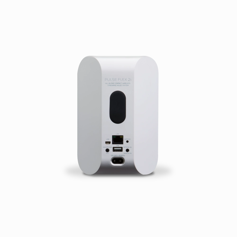 Bluesound PULSE FLEX 2i Portable Wireless Multi-Room Music Streaming Speaker