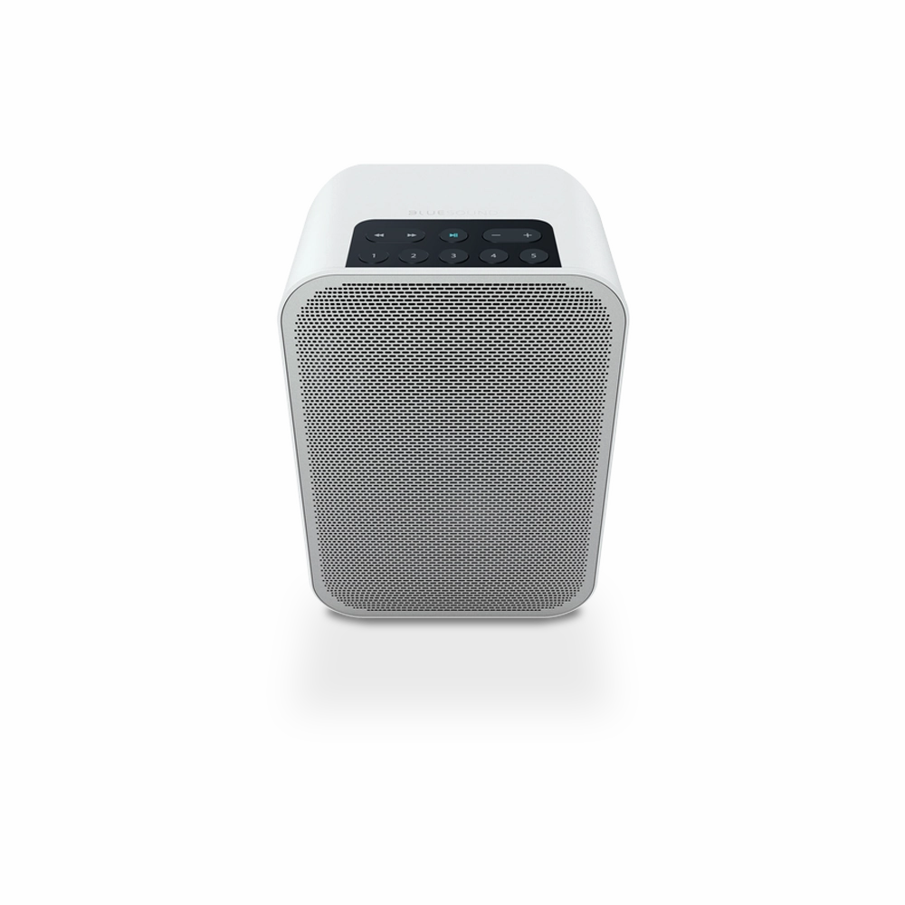 Bluesound PULSE FLEX 2i Portable Wireless Multi-Room Music Streaming Speaker