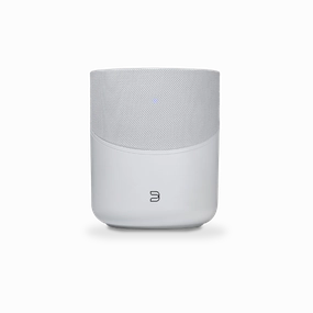 Bluesound PULSE M Wireless Multi-Room Music Streaming Speaker Kitchen Appliances