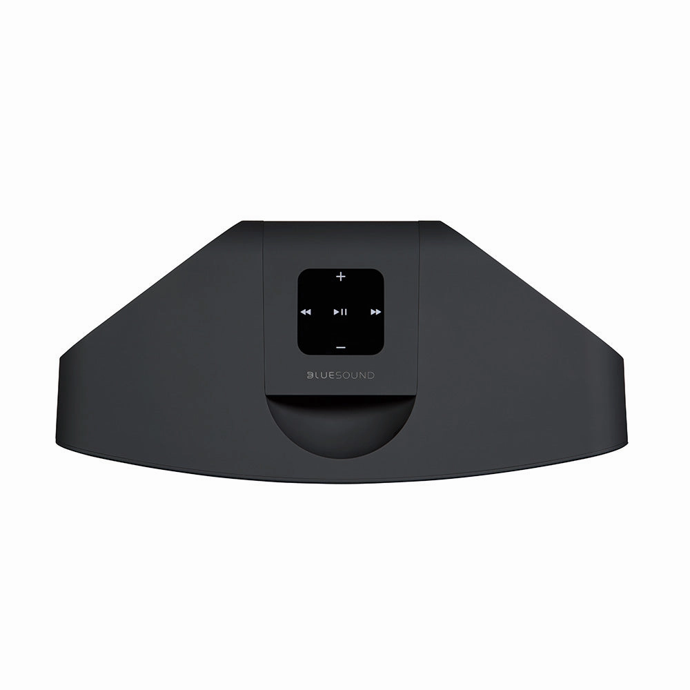 Bluesound Pulse Mini 2i Wireless Multi-Room Music Streaming Speaker