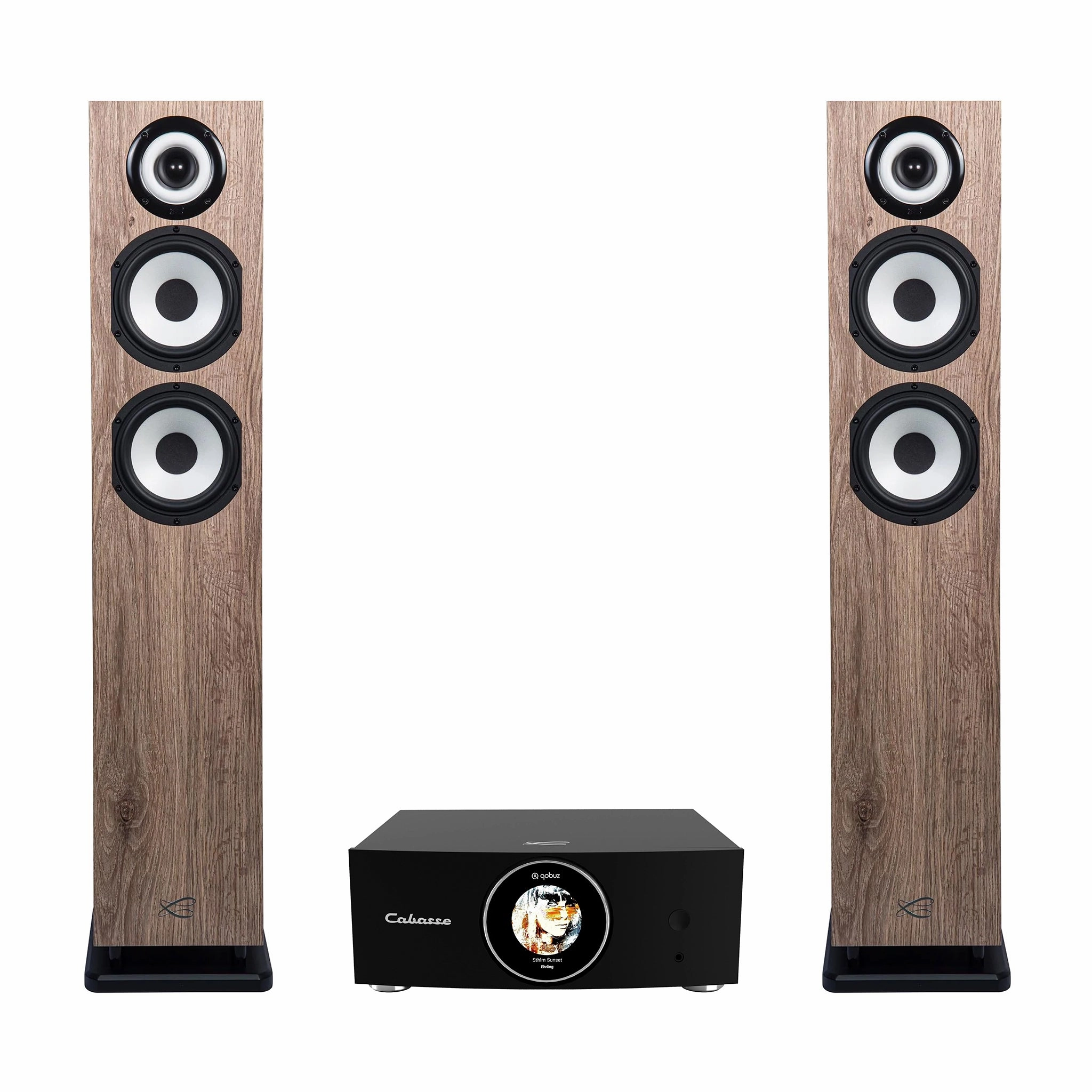 Cabasse ABYSS Wireless Amplifier   Java MC40 Floorstanding Loudspeakers