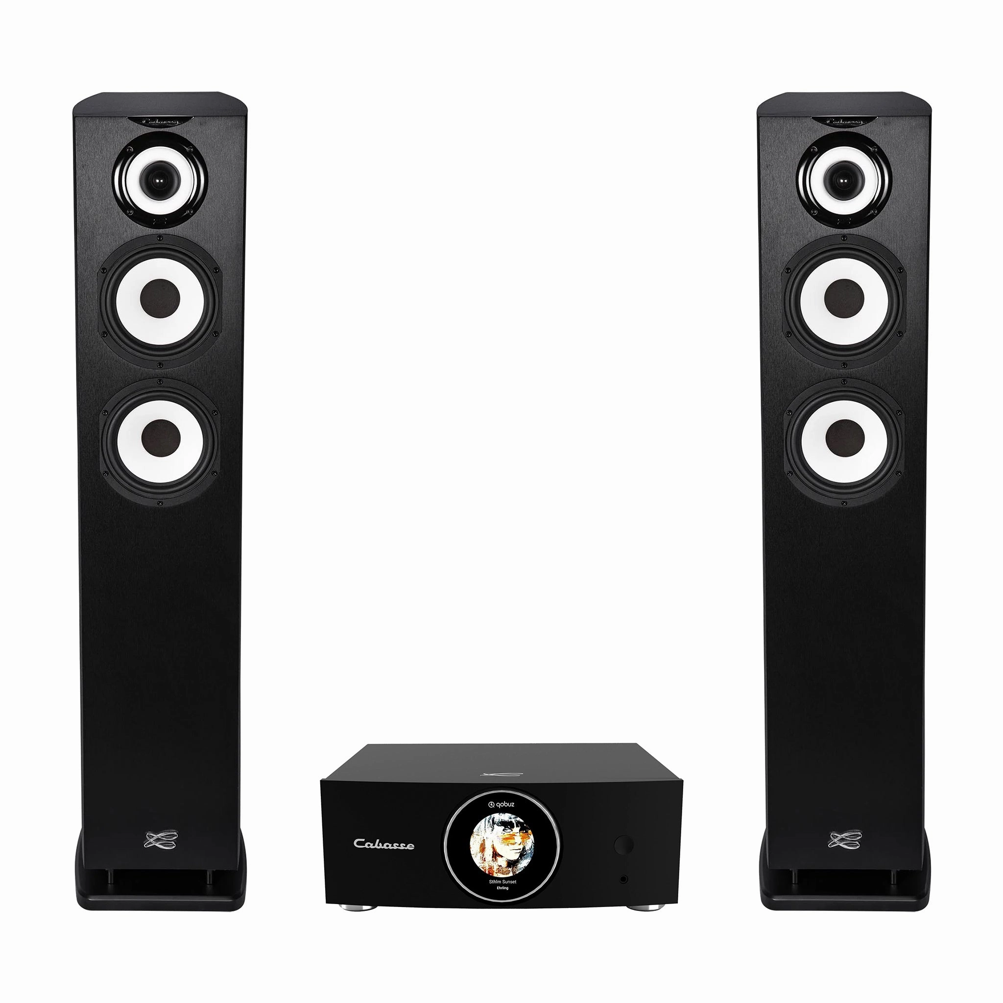 Cabasse ABYSS Wireless Amplifier   Java MC40 Floorstanding Loudspeakers Kitchen Appliances