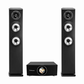 Cabasse ABYSS Wireless Amplifier   Jersey MC170 Floorstanding Loudspeakers Kitchen Appliances