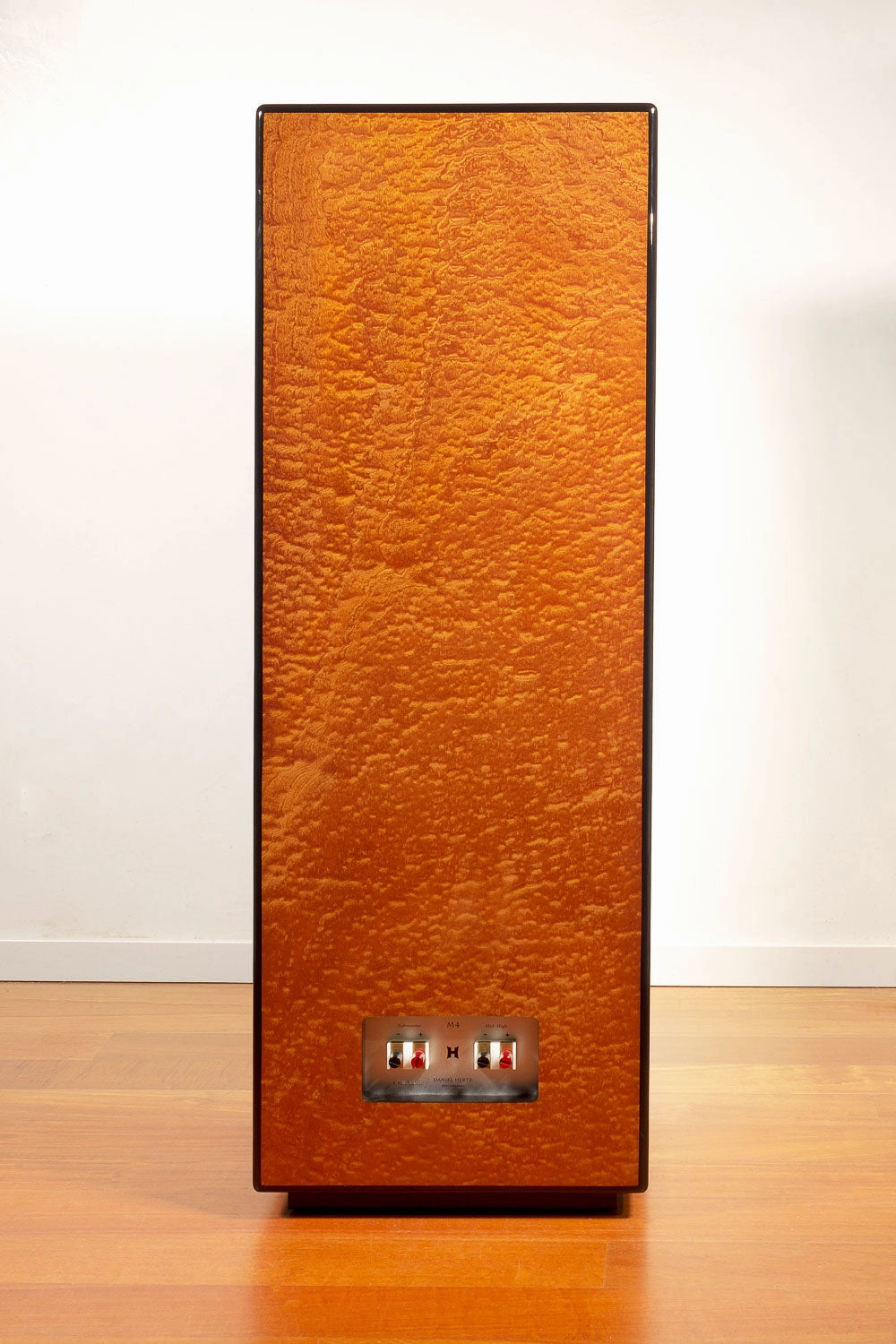 Daniel Hertz Bi-amplified M4 with Maria 800