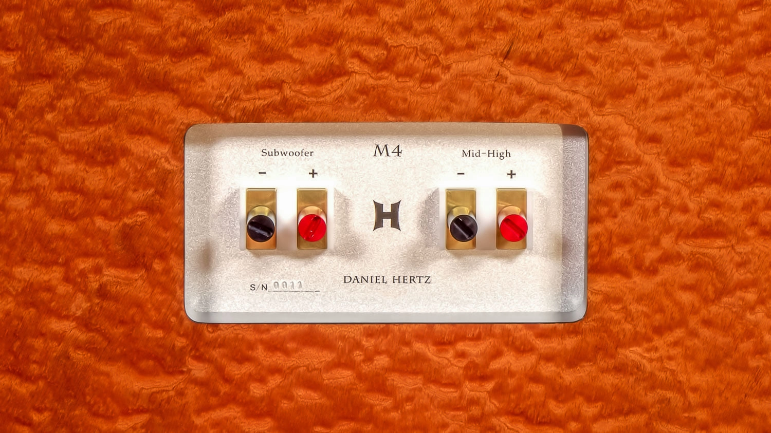 Daniel Hertz Bi-amplified M4 with Maria 800