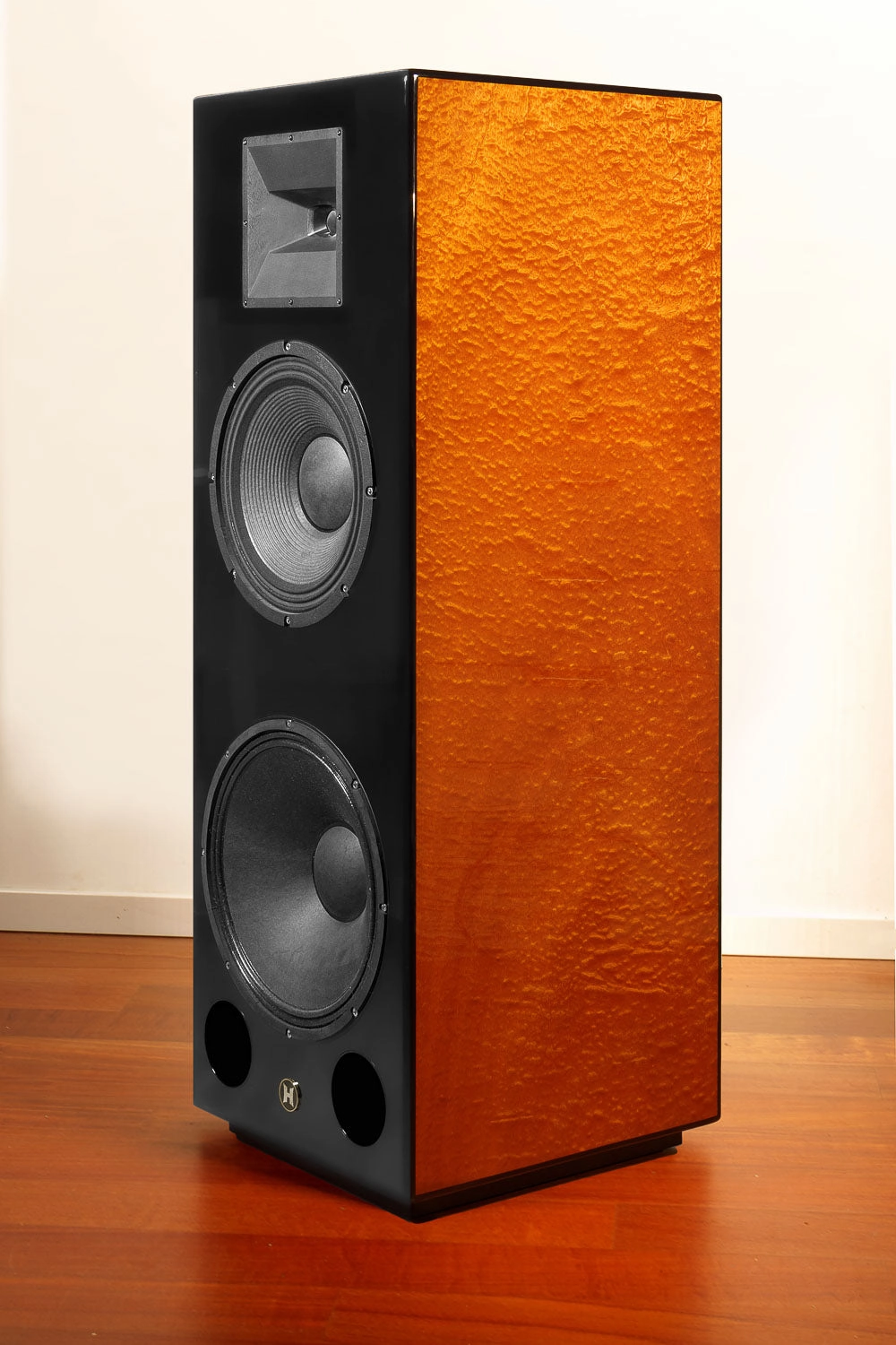 Daniel Hertz Bi-amplified M4 with Maria 800