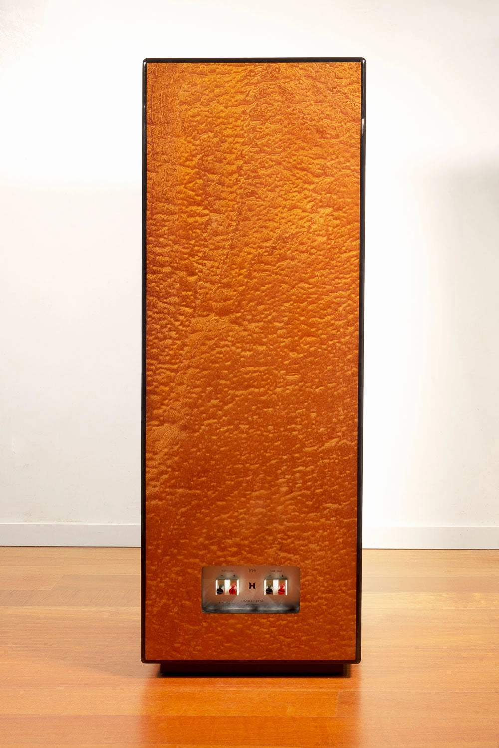Daniel Hertz Bi-amplified M4 with Maria 800