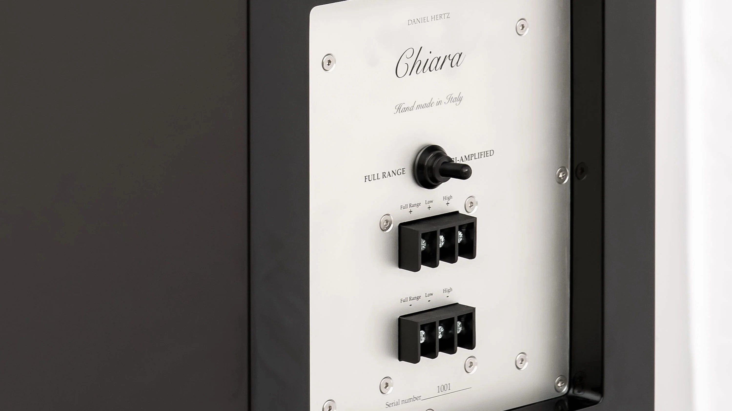 Daniel Hertz Chiara Speakers With Maria 800 Amplifier
