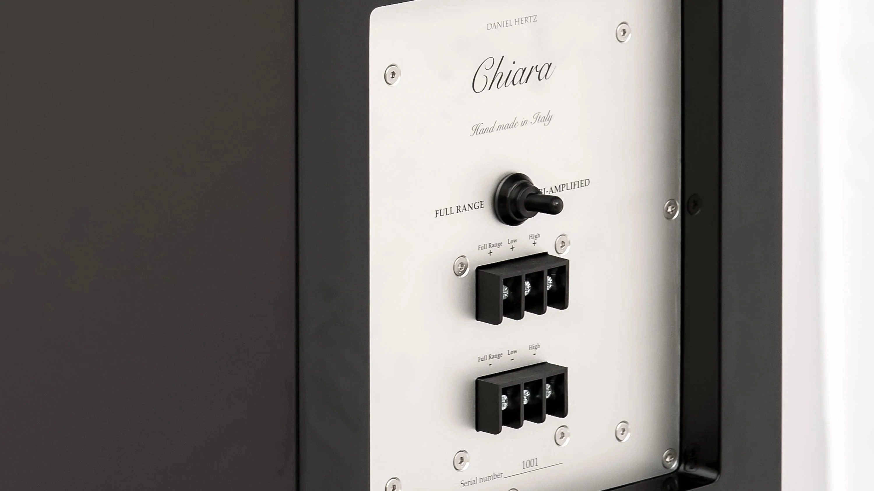Daniel Hertz Chiara Speakers With Maria 800 Amplifier