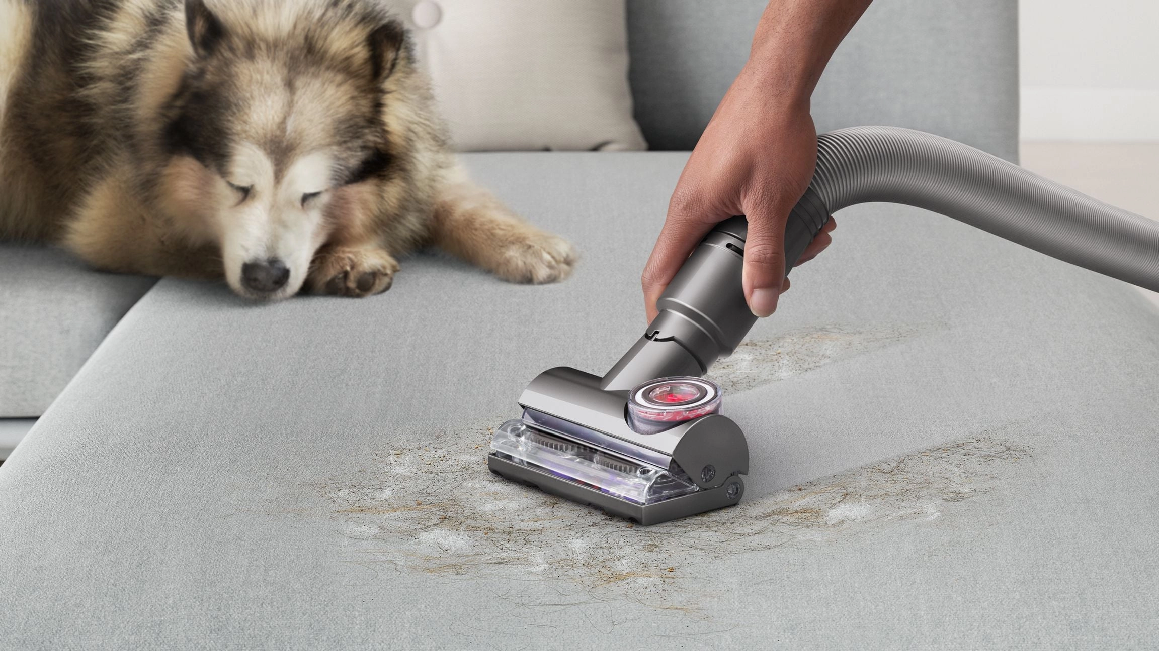 Dyson Ball Animal 3 Extra De-Tangling Vacuum   Grooming For Homes & Pets, Pet Products, Pet, Pets, Feeders, Collars