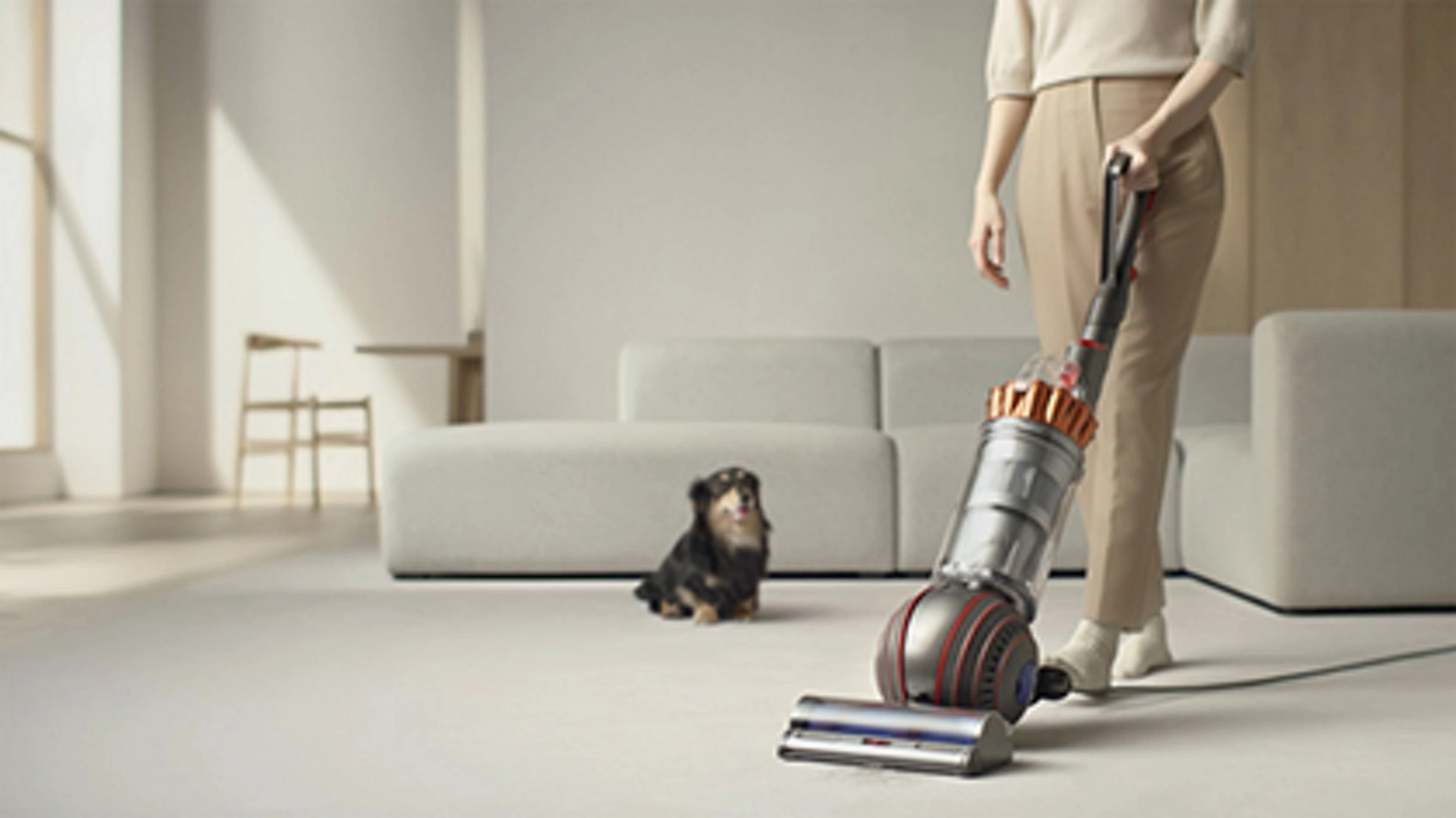 Dyson Ball Animal 3 Extra De-Tangling Vacuum   Grooming For Homes & Pets, Pet Products, Pet, Pets, Feeders, Collars
