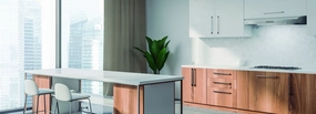 Elica EAL330WT Allasio 30" Wt Ventilation Range Hoods high suction kitchen exhaust hood