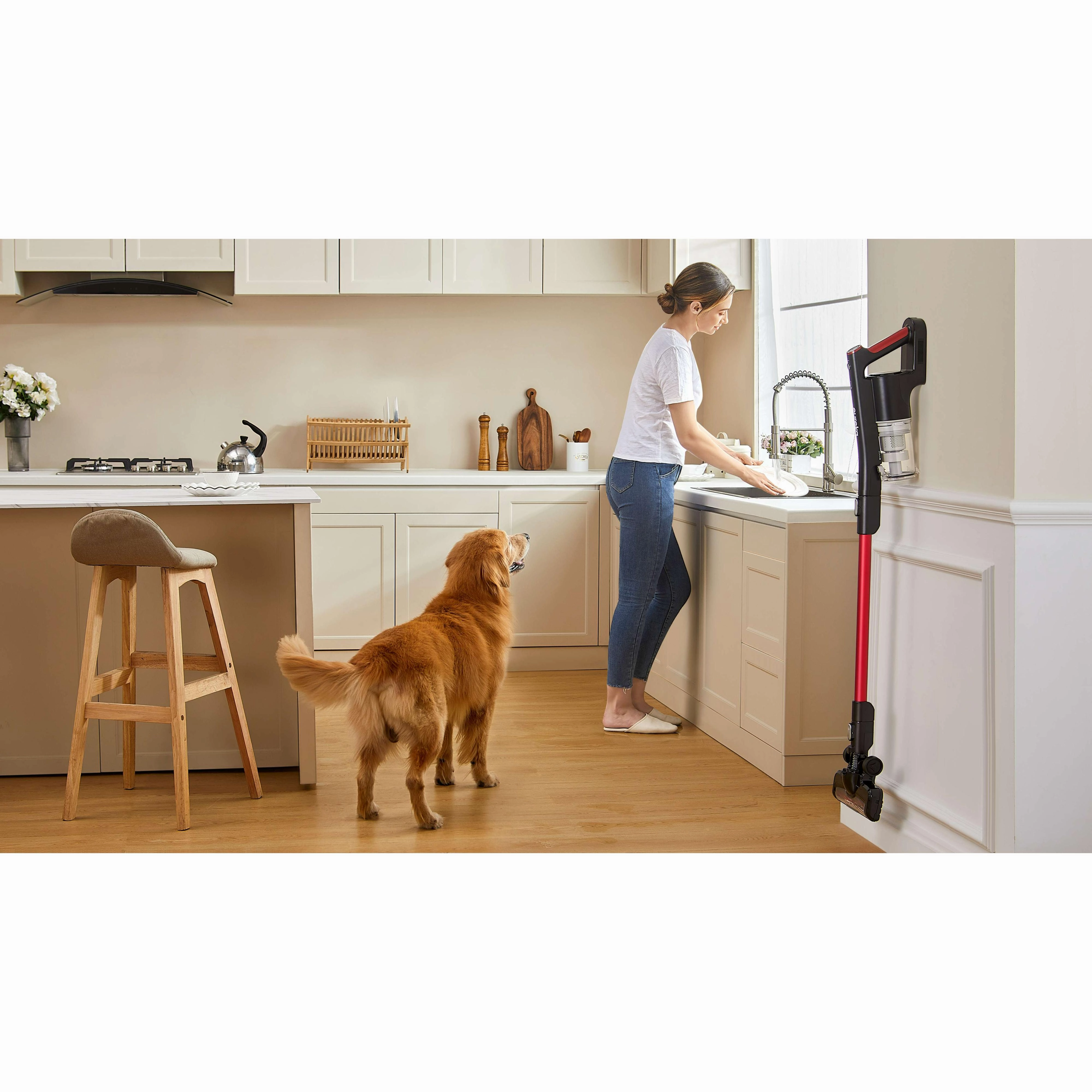 Eureka Cordless Stick Vacuum Cleaner NEC100C