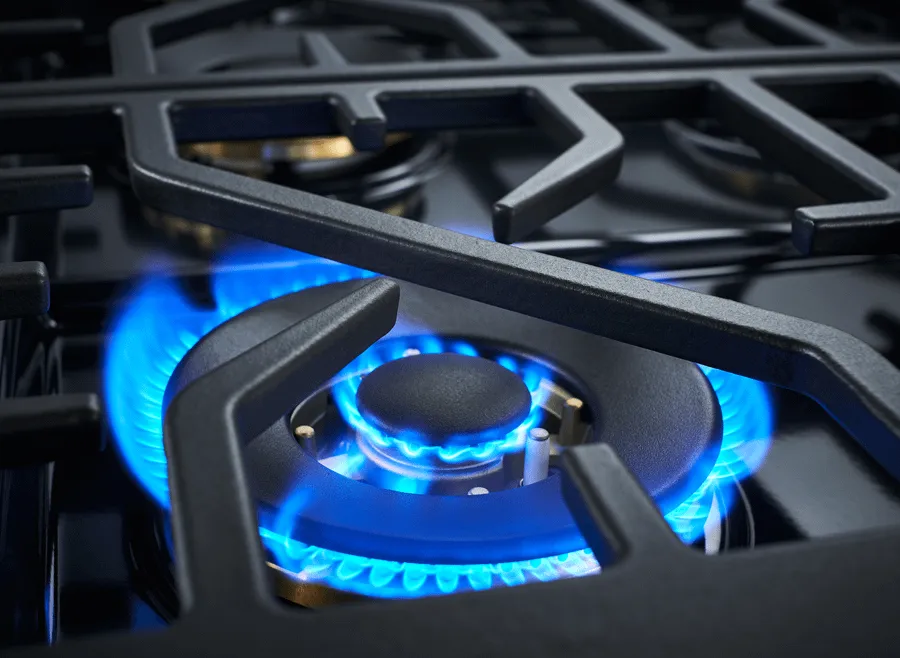 Forzacucina FR366DF 36" Professional Dual Fuel Range