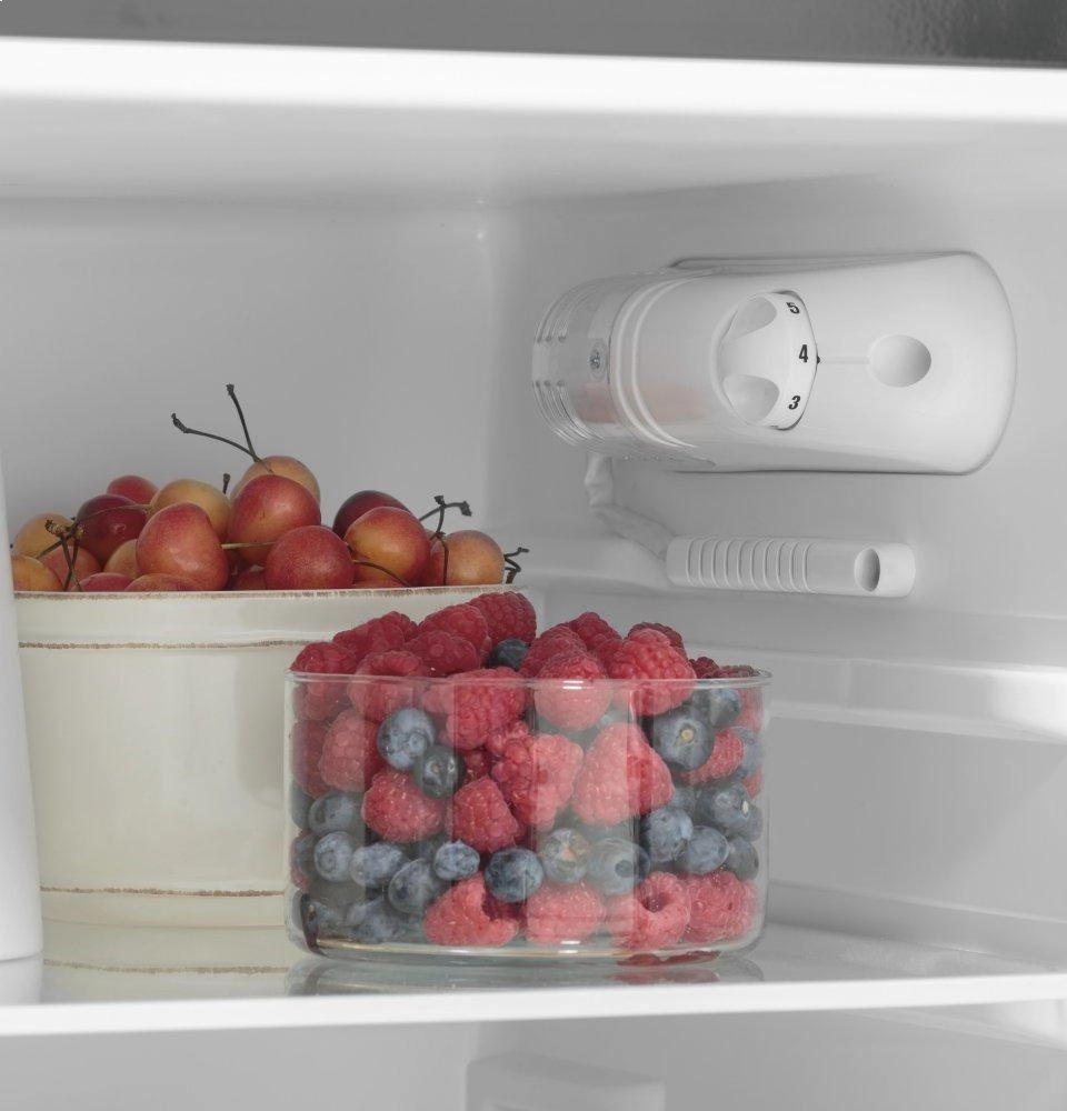 Ge Appliances GPV10FSNSB Ge? 9.8 Cu. Ft. 12 Volt Dc Power Top-Freezer Refrigerator