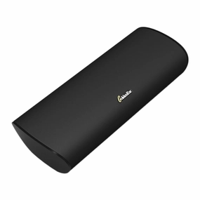 GoldenEar SuperSat 3C Center Speaker (each) Kitchen Appliances
