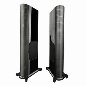 GoldenEar T66 Floorstanding Loudspeaker (each) Kitchen Appliances