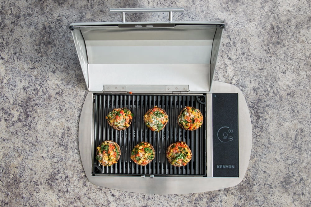 Kenyon B70586 Rio Electric Grill