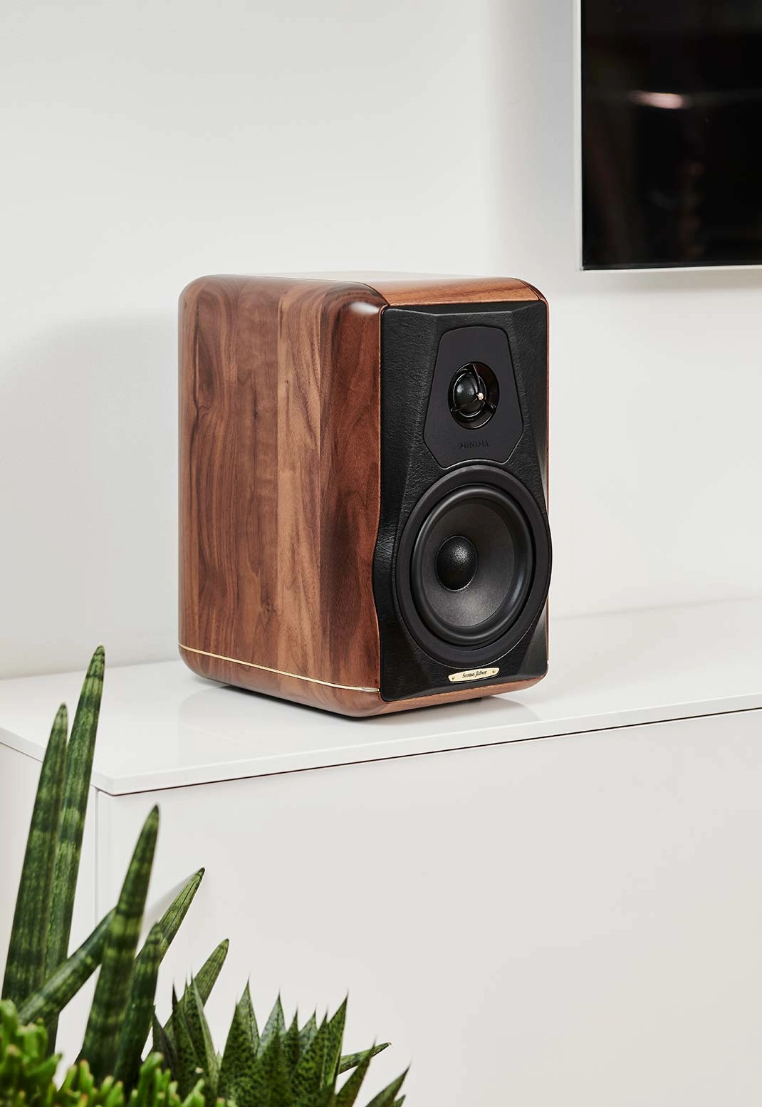 Sonus Faber Electa Minima Amator III - PAIR