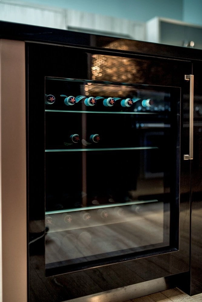 Thermador T24UR900LP 24-Inch Under-Counter Glass Door Refrigerator