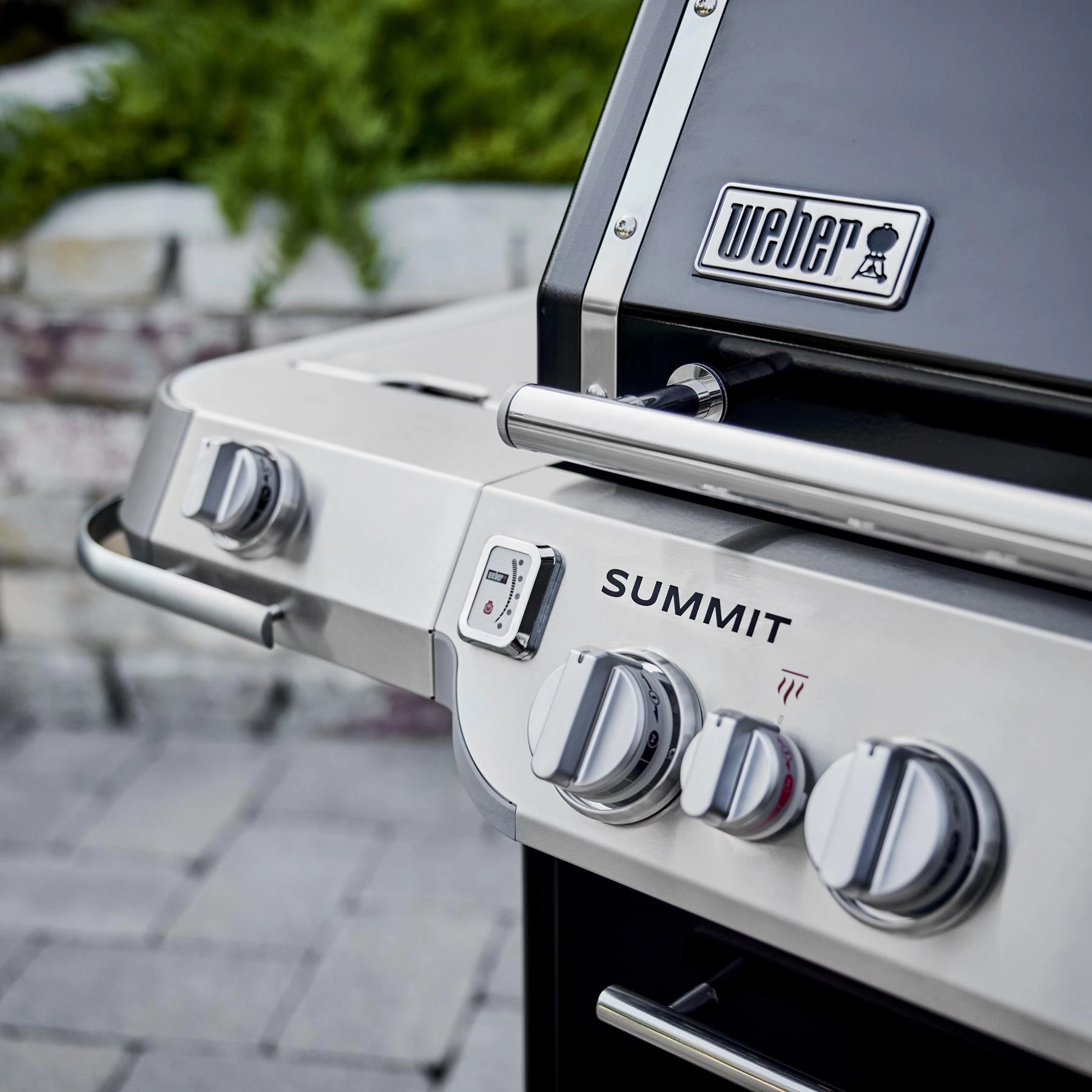 Weber 1500029 Summit Fs38 E Gas Grill (Liquid Propane) - Black