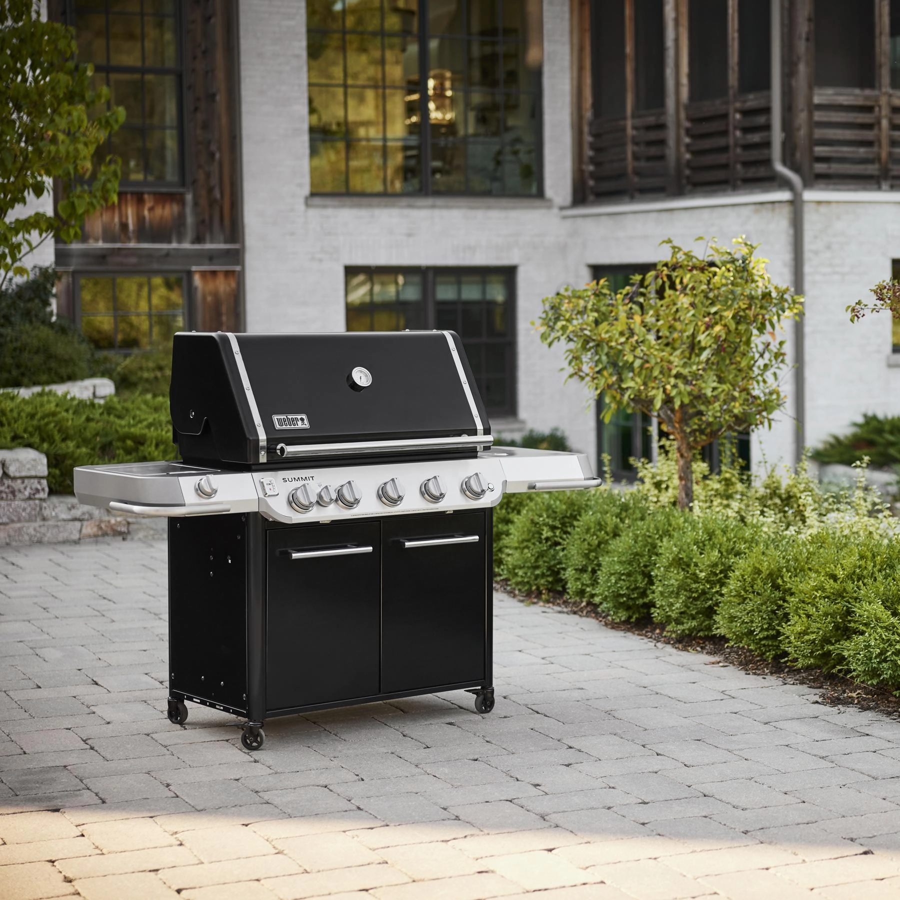 Weber 1500040 Summit Fs38 E Gas Grill (Natural Gas) - Black