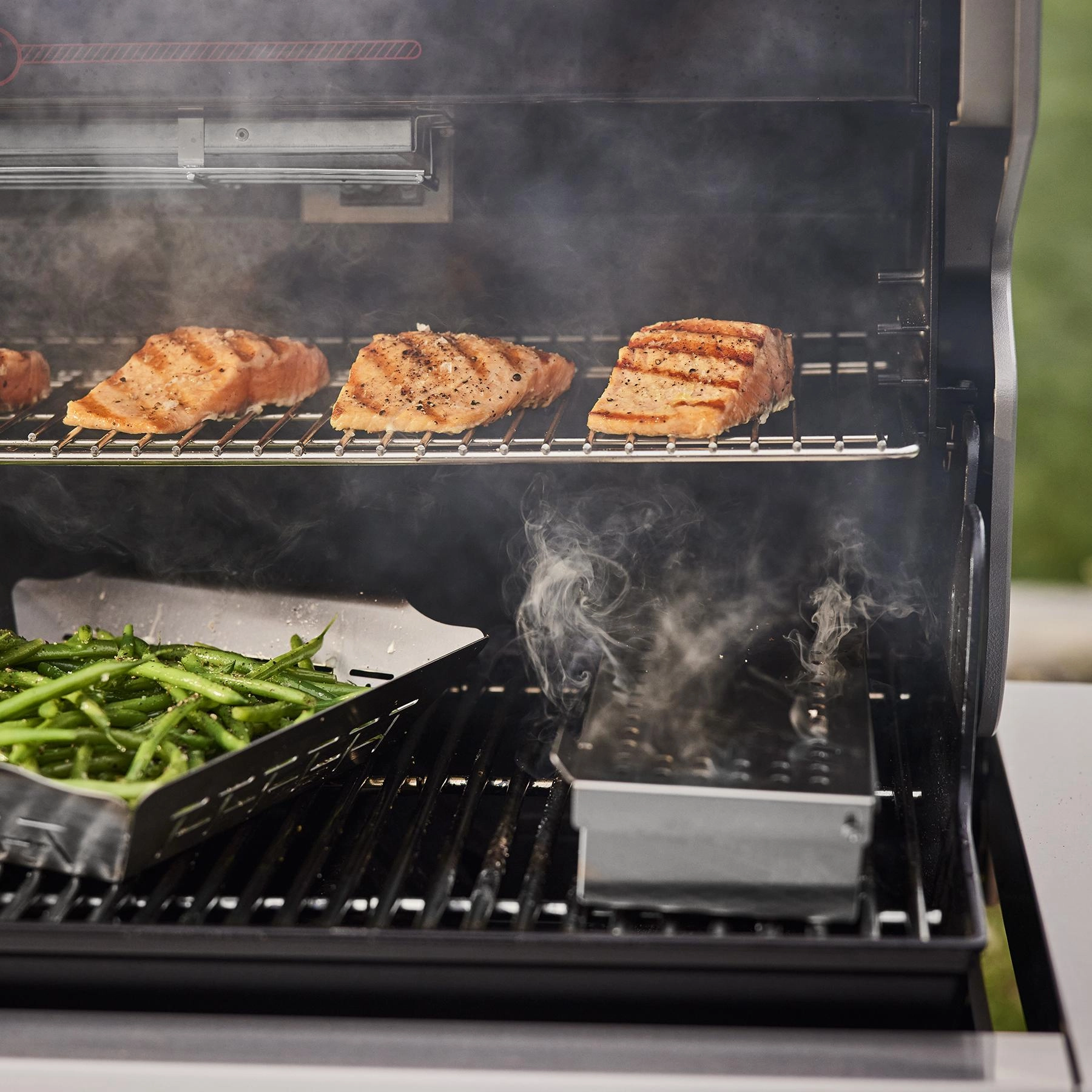 Weber 1500051 Summit Smart Fs38X E Gas Grill (Liquid Propane) - Black