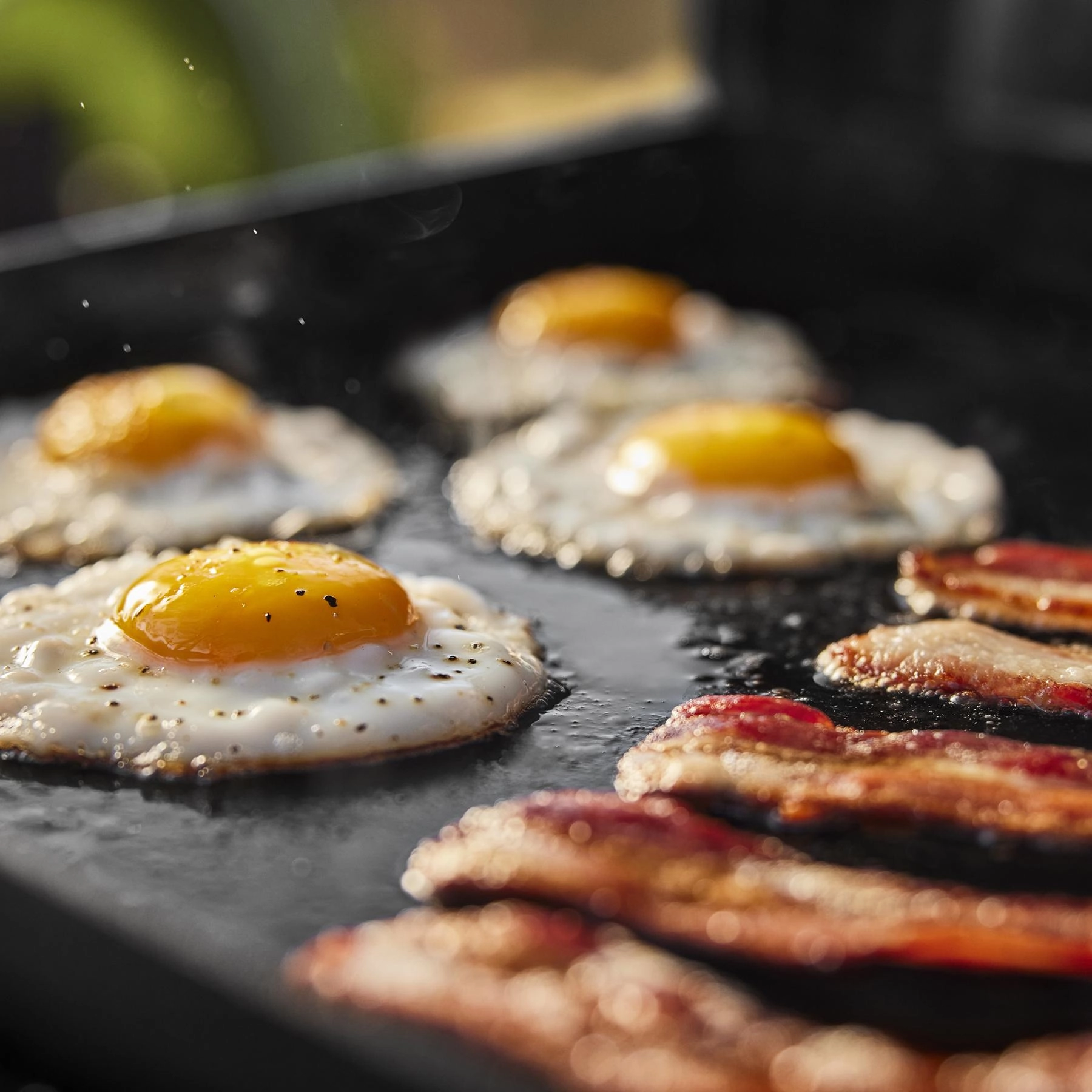 Weber 1500213 Weber Traveler 22" Portable Griddle - Black