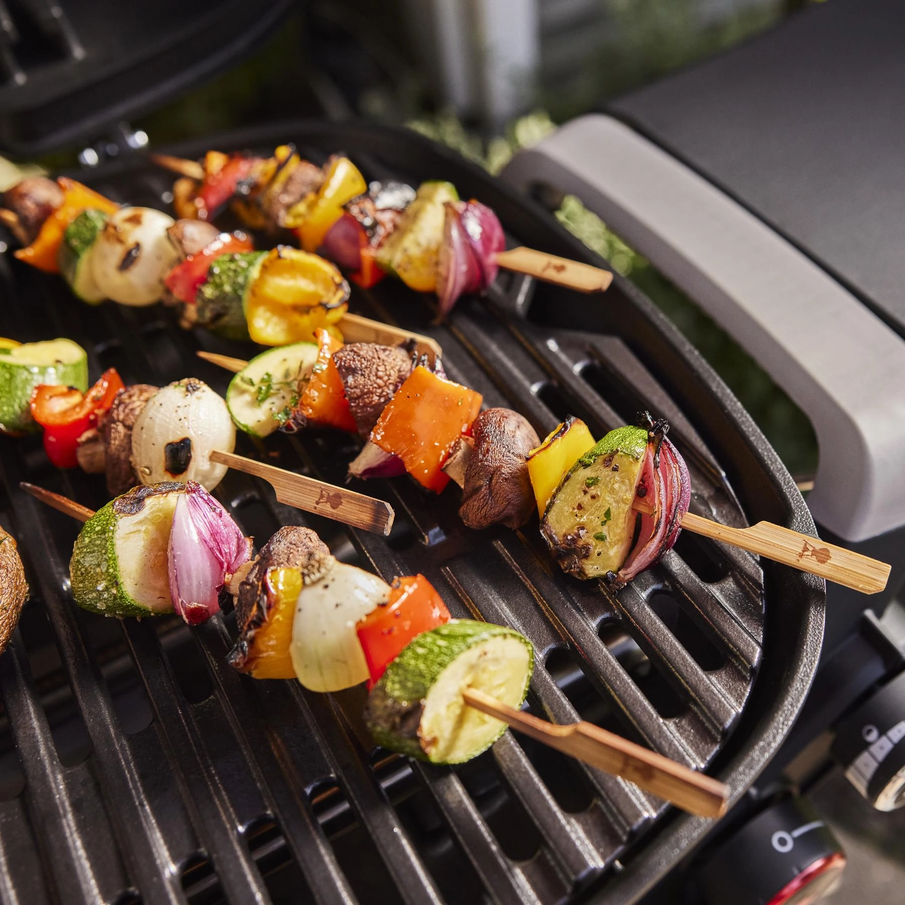 Weber 1500378 Q 2800N  Gas Grill (Liquid Propane) - Charcoal Grey