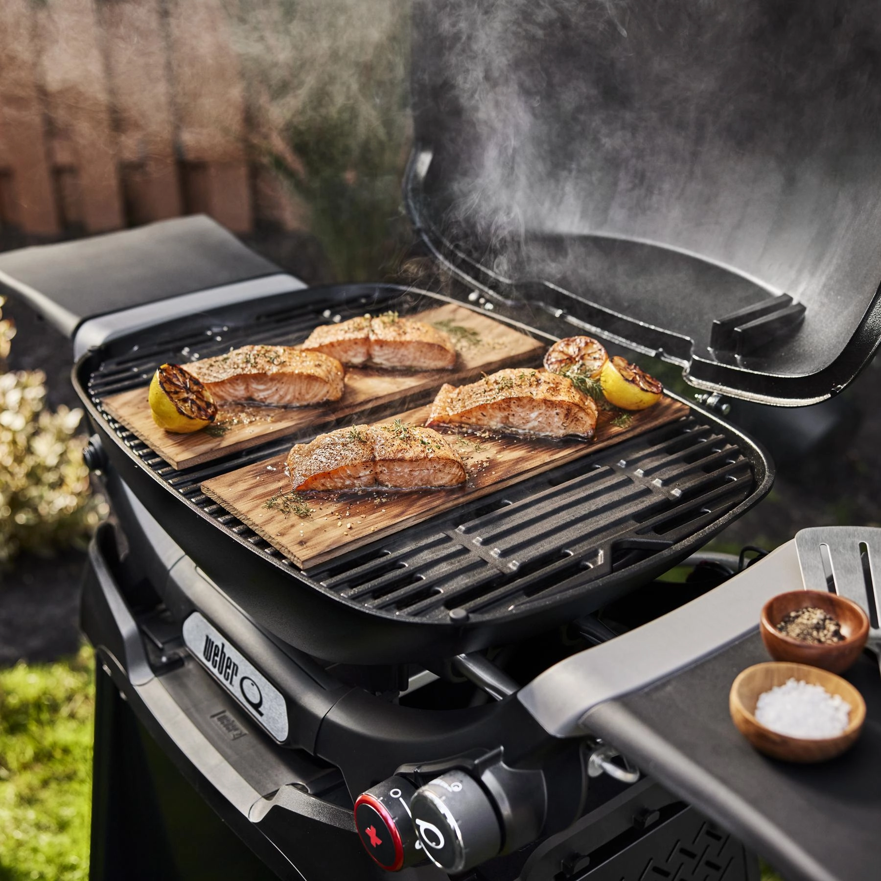 Weber 1500391 Q 2800N  Gas Grill With Stand (Liquid Propane) - Flame Red