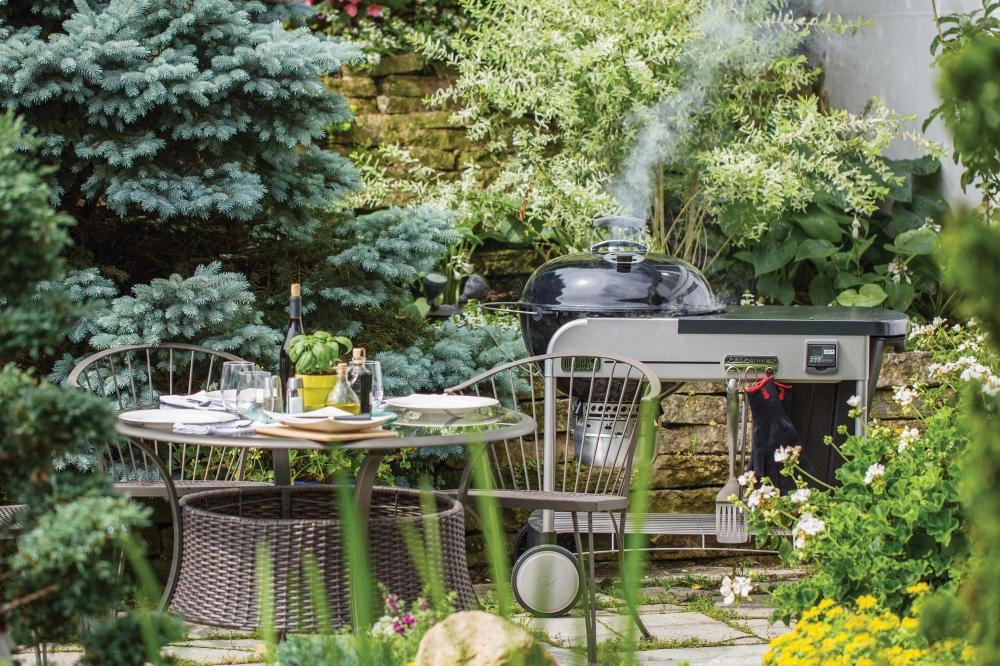 Weber 15401001 Performer Premium Charcoal Grill - 22 Inch Black