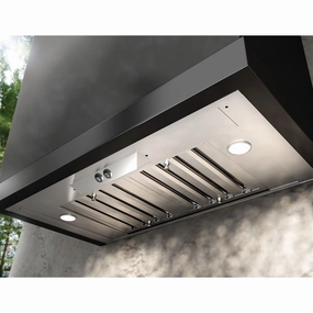 Zephyr AK8800AG 29" Willow Insert Outdoor Outdoor Hoods,outdoor vent hood